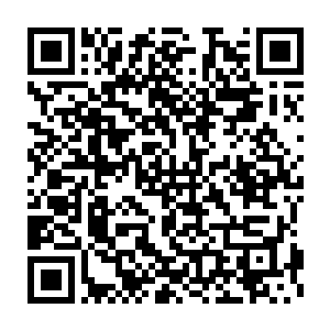 起最大作用的是太虚宗的丹符器阵四堂帮助呼啸山脉中的修士开垦药园二维码生成