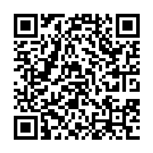 起来之后君绍旭叫人整了一桌酒菜叫那两个通房陪着吃酒二维码生成