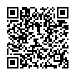 起码不知晓任何后台情报的王万余凭借经验都看得出来二维码生成
