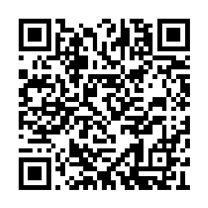 起码也需要十几万人的血液作为炼化神器的养料二维码生成