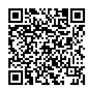 起码从叶明静公司那边得到的申请邀请函数量来看二维码生成