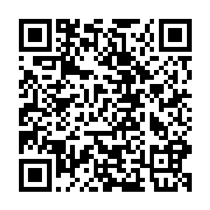 起码他们选择的路线方向基本上都是符合陆为民的前世记忆的二维码生成