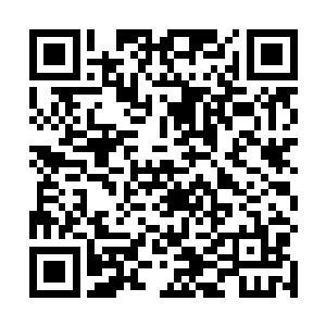 起码你若干年后不会埋怨自己当年为什么就没有坚持呢二维码生成