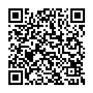 起码和尚不会看到一对孪生姐妹花在池塘中沐浴二维码生成