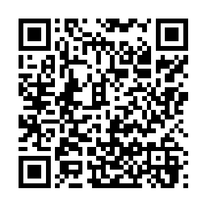 起码拖住了六尊神族小主宰境强者和一尊大主宰境强者二维码生成