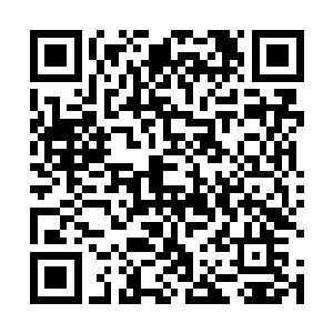 起码接受一百万的事实比让牟晨菲接受杀人要简单得多二维码生成