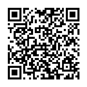 起码李出林会给外人一种豪气不减往昔的雄壮气势二维码生成