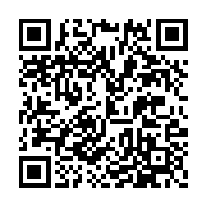 起码玛丽和克劳迪娅都来了一周也没想念洛杉矶二维码生成