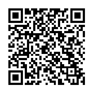 起码现在她需要一个人能在她拍戏的时候及时为她接听电话二维码生成
