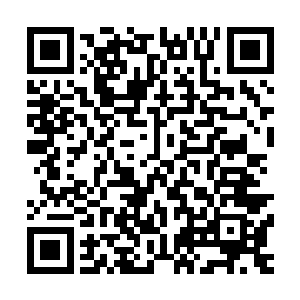 起码要等珊珊完全接受我再来和郁晨商讨珊珊以后的归属问题二维码生成