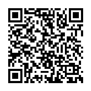 起码解开叶欢封印之前我不能先把自己弄伤了呀二维码生成