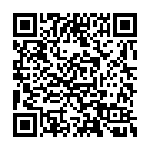 起码连牟晨菲这样从来对自己容貌很自信的姑娘二维码生成