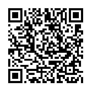 起码长阳丽园的小区保安都煞有其事的敬礼放行二维码生成