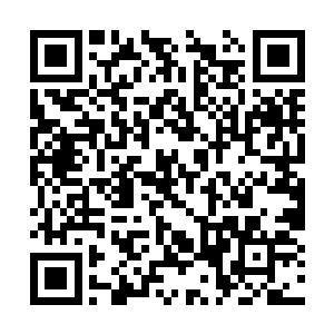 起身拿过那几件尸体上剥下的衣服架在火堆边烘烤二维码生成