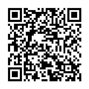 趁大红那双眼转动时猛的朝托住她的下巴朝上一顶二维码生成