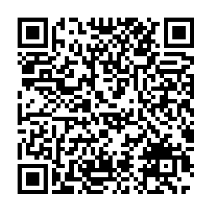 趁机夺取了西荒界最好的一片地盘和原属于青蛇殿和赤蛇殿的大量资源二维码生成