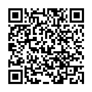 趁现在还没出什么情况赶紧跟老师解释清楚比较好二维码生成