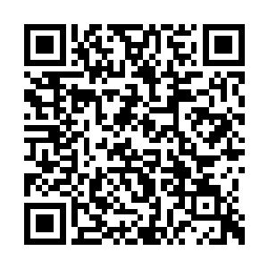 趁着公西宁还没有晋升到小神境界时就将他毁灭二维码生成