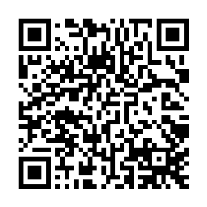趁着天阵大陆上的百家还没有真正对他发起大规模捕杀的时候二维码生成