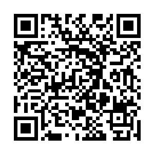 趁着师兄弟们准备通过剑阵去往北地救援小师叔的时候二维码生成