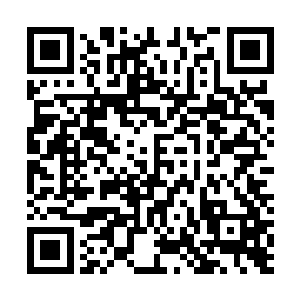 趁着现在大家都将注意力放在解读这些诗词与文章内容上二维码生成