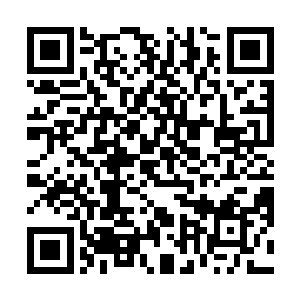 趁着睡午觉之前打发他叫上小伙伴一起到农庄里去玩了二维码生成