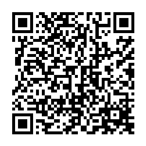 趁着空隙我低头看了一下根本看不到那只手的主人我眼线中满是飘扬的黑发二维码生成