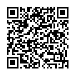 趁着赵雪梅铺被子的时候拎着另外的一半给妞妞送过去了二维码生成