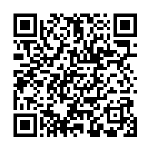 趁着这段时间让天祈以副总裁的身份逐步接手洛氏的工作二维码生成
