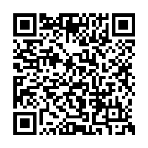 趁着这短时间你把人员转移的事拿出一个章程来二维码生成