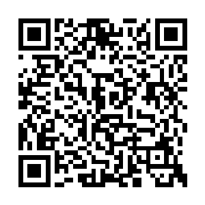 趁着那两个男子都被段夏槐和虎子暂时牵制住了二维码生成