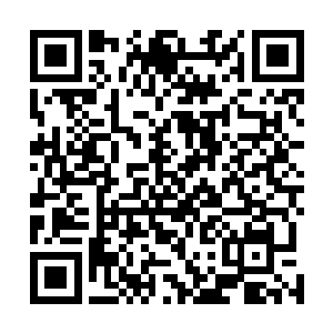 超出二十厘米的身高差在此时看来竟然一点也没有违和感二维码生成
