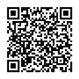 超次元军的成员们可以很放心地攀到峡谷南侧的平原上二维码生成
