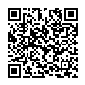 超级门派能够屹立修真界无数年不倒也是有原因的二维码生成