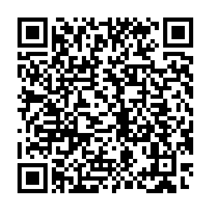 超过二十个的离退休千部和近百的各部门和乡镇的千部家属到了县政府二维码生成