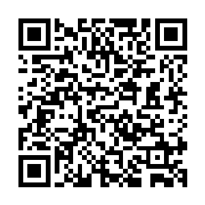 超过百分之九十五的好莱坞人士都可以划定在合作范围之外了二维码生成