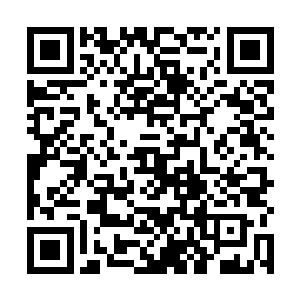 越发发现这个湘西宫本体有一条跟弓藏血一样的神经了二维码生成