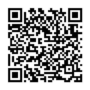 越发想知道在这安安静静的一天中究竟发生了什么二维码生成