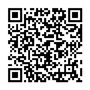 越回想连俢肆越觉得亚米的穿衣风格跟小时候的跹跹好像二维码生成