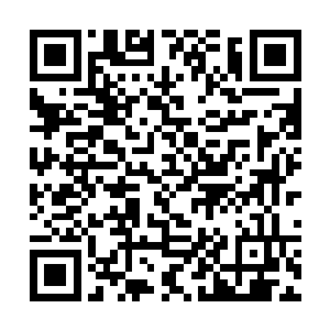 越打叶然也是觉得自己身体内的血液在不断地沸腾着二维码生成