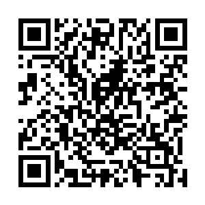 越来越多的地狱黑蜘蛛从峡谷下面的地缝之中不断爬出来二维码生成