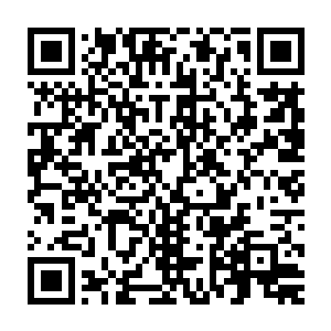 越来越多的研究显示……战斗力和长相其实并没有什么直接的关联二维码生成