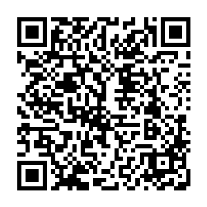 越级干掉一个大地骑士得到的血脉之果蕴含的可以激活先祖血脉的血脉能量点二维码生成