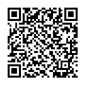 足以与杨开接触过的出身神鼎天的东郭安平平起平坐二维码生成