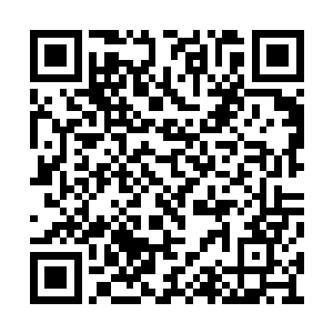 足以够他在这太阳火焰山上部署完成所有的禁阵二维码生成