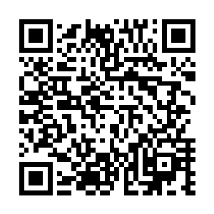 足以席卷天地的火浪也以惊人的速度从那火莲之中爆发出来二维码生成