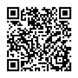 足以应对整个南方巫师联盟甚至外加上北方的势力二维码生成