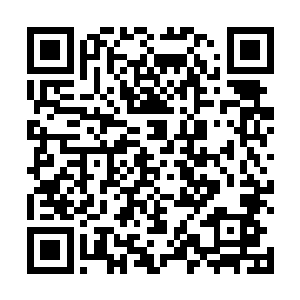 足以让他们拥有这一次进阶的机会了……木讷就不多话二维码生成