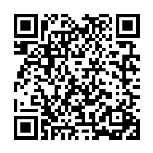 足以让我们鼠族得到不少其他各族发现不了的秘密二维码生成