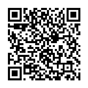 足以让我的父母和其他亲人资质提升到极品一等巅峰二维码生成